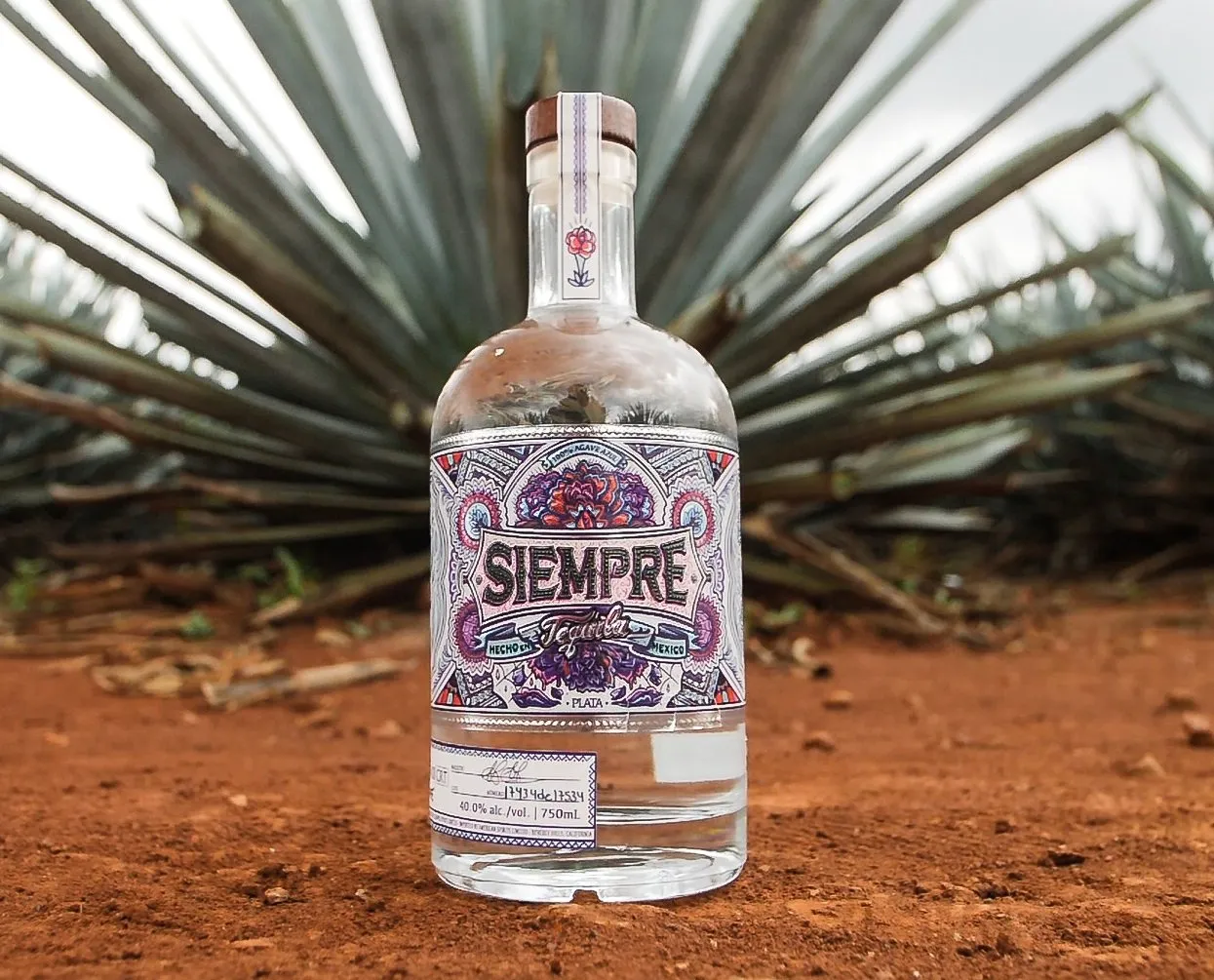 Bottle of Siempre Tequila in the desert