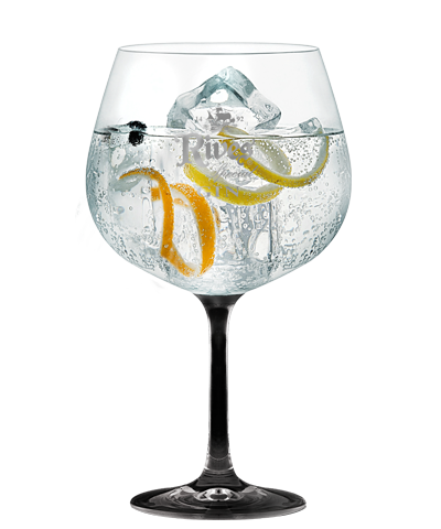 Glass of Spanish gin and tonic
